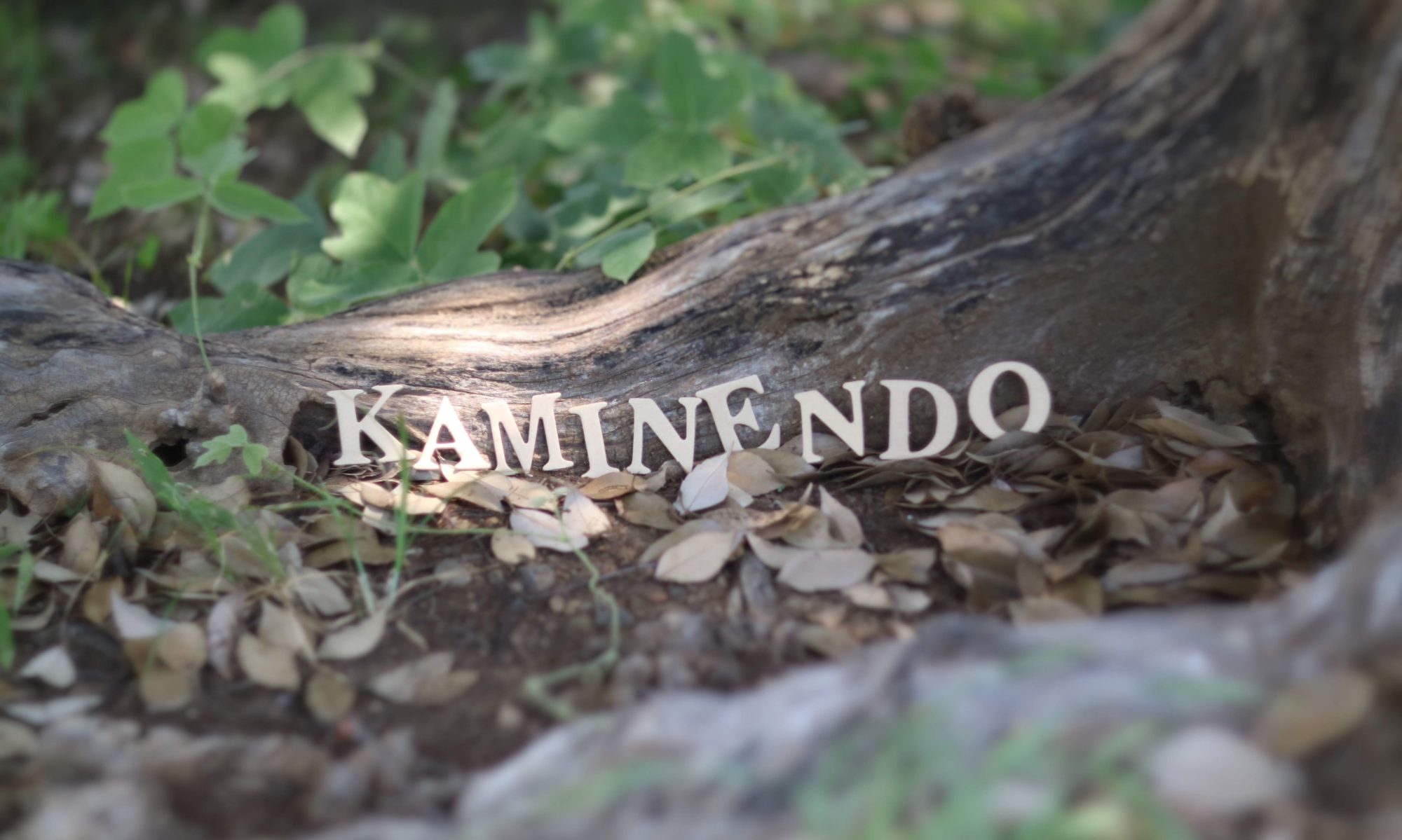 オフィスかみねんど